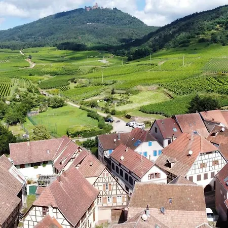 Au Pied Du Koenigsbourg 1